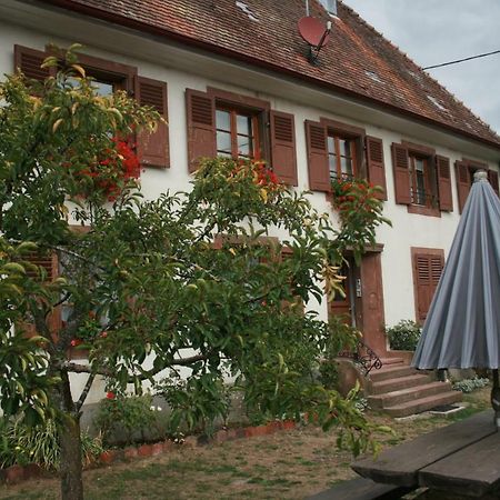 Maison D'Alsace Breitenbach-Haut-Rhin Luaran gambar