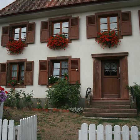 Maison D'Alsace Breitenbach-Haut-Rhin Luaran gambar